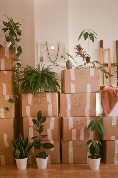 dina-badamshina-j7vbBmTHmjY-unsplash